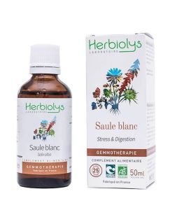 Saule blanc (Salix alba) - bourgeons frais BIO, 50 ml